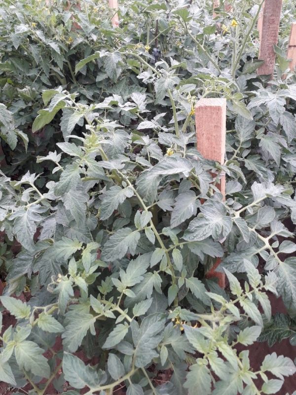 ������� ������: ��� �������� ������ ����� ����� ����� ����������