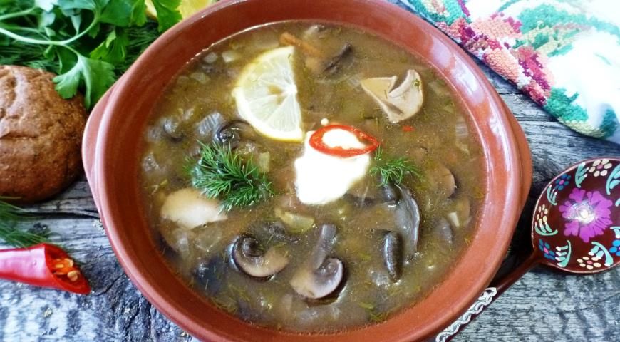 ������� �����: ��������� �����������