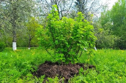 5 �������� ����� �� �������� ������������ ��� ��������� ������