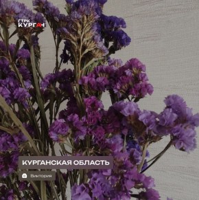 ������ ����, ���������!. ���� � ������� ����� ����� � ���������, ��� �������