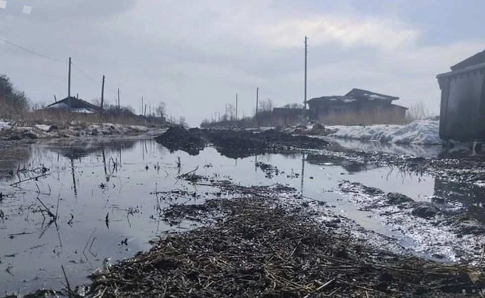 ������ �� �������, ����� � ��������� ���: ���������� ������� ������������ ���� ��������������� ����� �� ���������