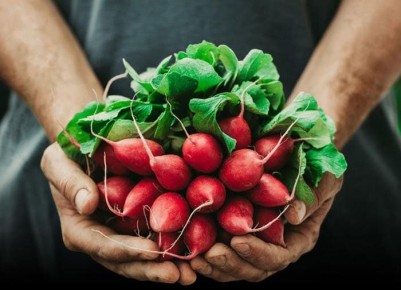 ��� ���� ������������ � �������� ������ ��������� � �������