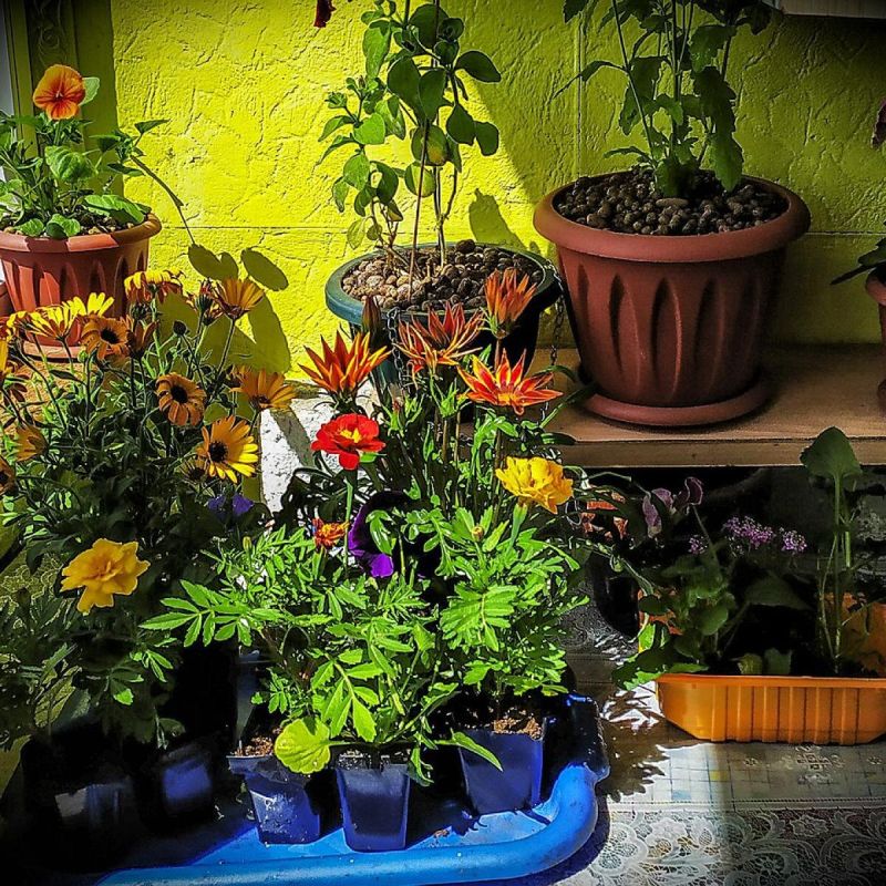 ������: ������������ � �������� ������� ������ ����