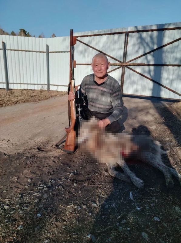 ���� ����� � ����� ����� � ���������� �������