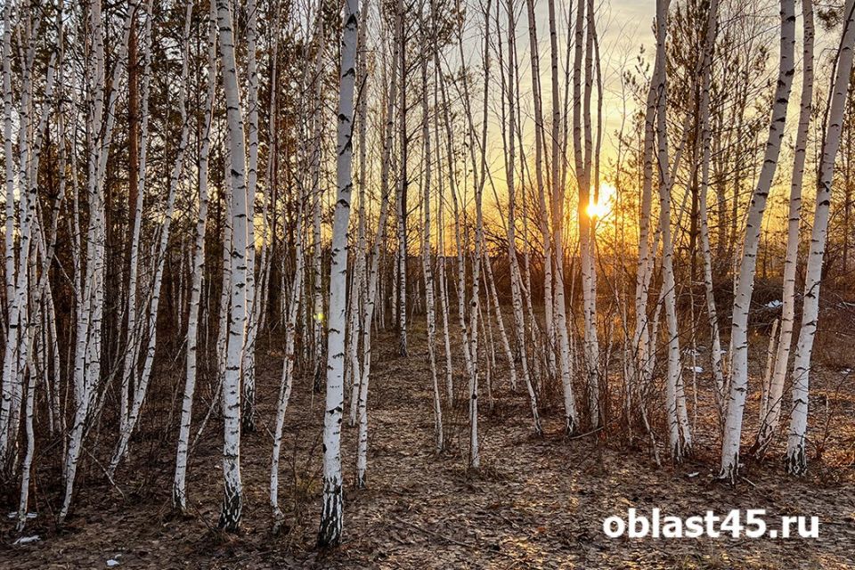 ���� ��� �������� - �� ����, �� � �� ����� �� ���: ��� �� ����� ���� ���������?