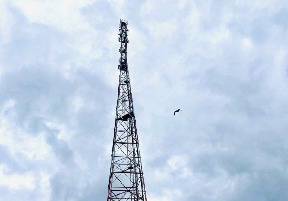 ��������� �������� LTE ������ � ������� �� ��� ���������� �������