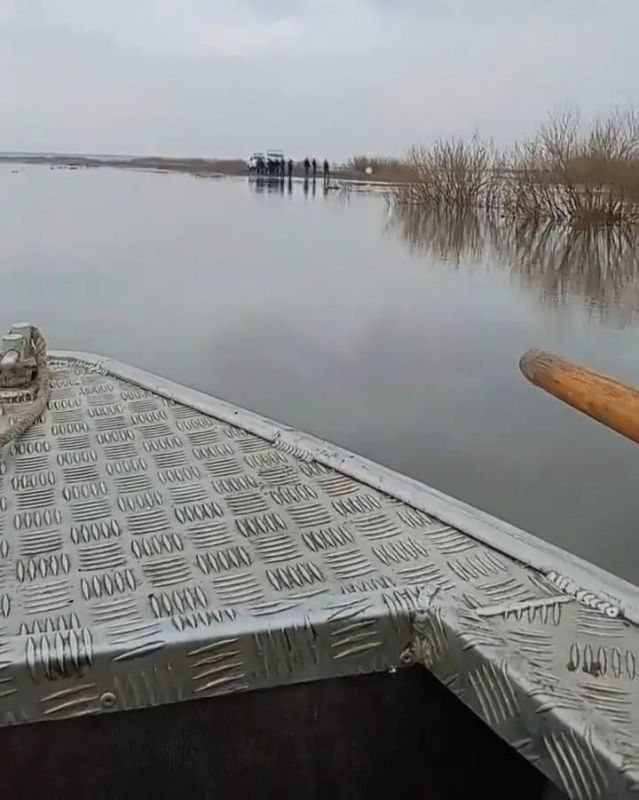 ������������� ��������� ������ �����������: