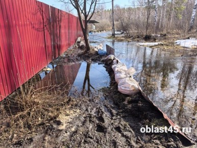 Виноваты бобры или сгоревшие деревья: в курганских СНТ участки топит талыми водами