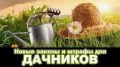 Новые штрафы до 700 тысяч рублей: как изменения Рослесхоза изменят жизнь дачников с 1 марта 2026 года