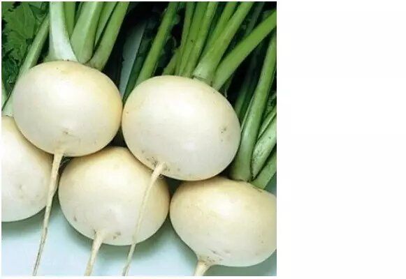 ��� ��������� ������: ������� �������� ������� � �����