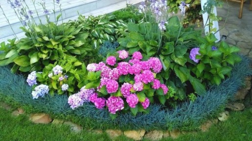 ��� ������� ������ ���� � ����������� ����