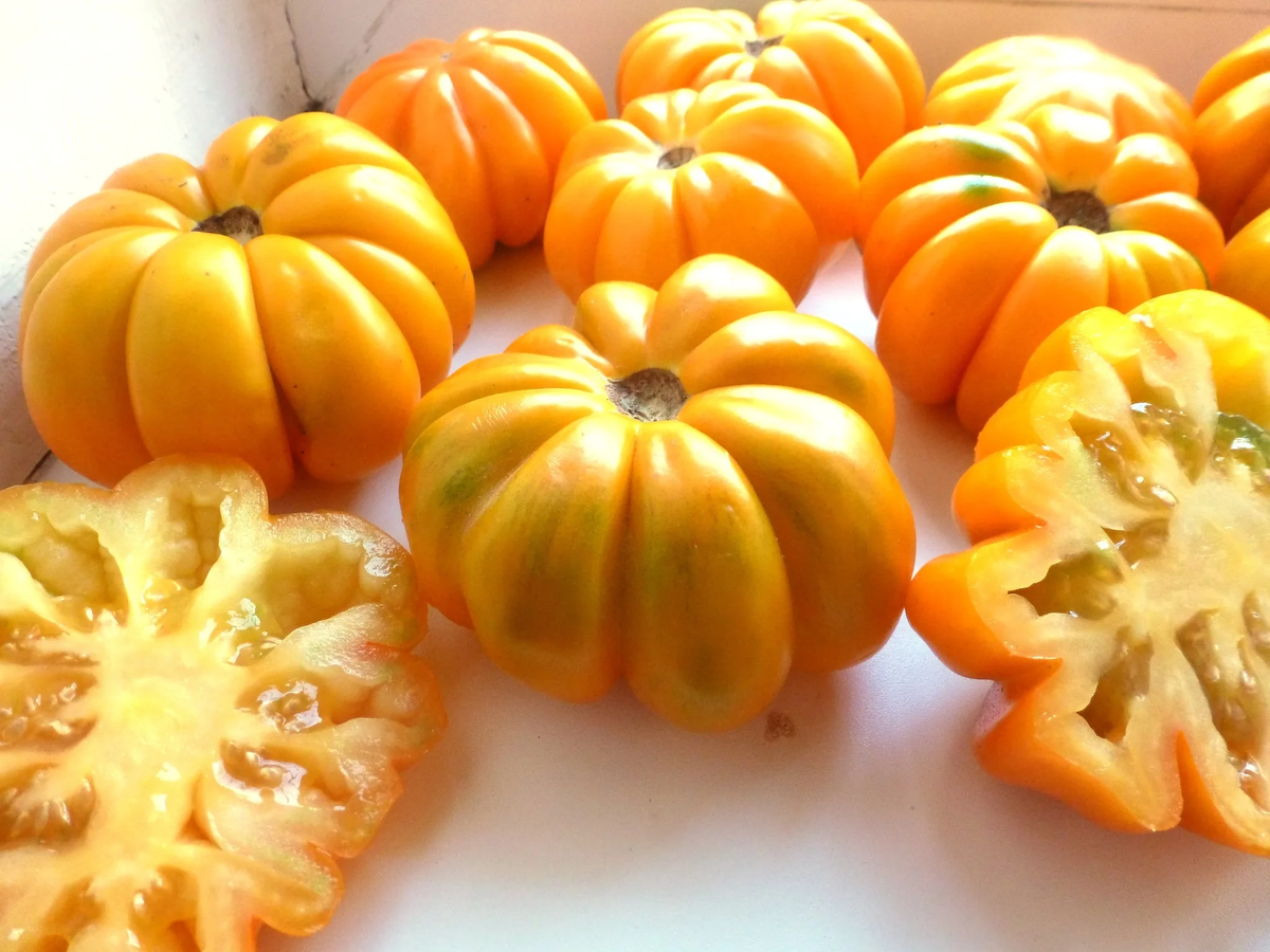 Необычные сорта томатов, привлекающие внимание прохожих на огороде