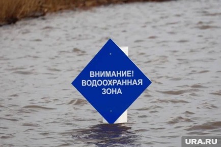 В Курганской области на километры разлилась река Уй. Вода уже затопила пойму, ширина которой на отдельных участках достигает 3,5 км. Общий уровень паводка продолжает расти из-за дополнительной подпитки со стороны реки Тобол...