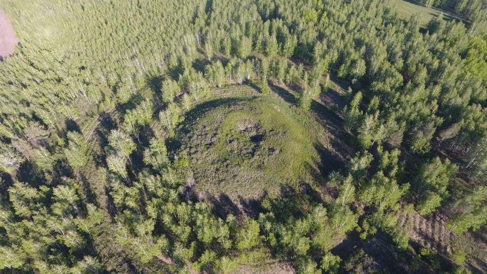 �׸���� �������� ���������� ���������� ����������� ������