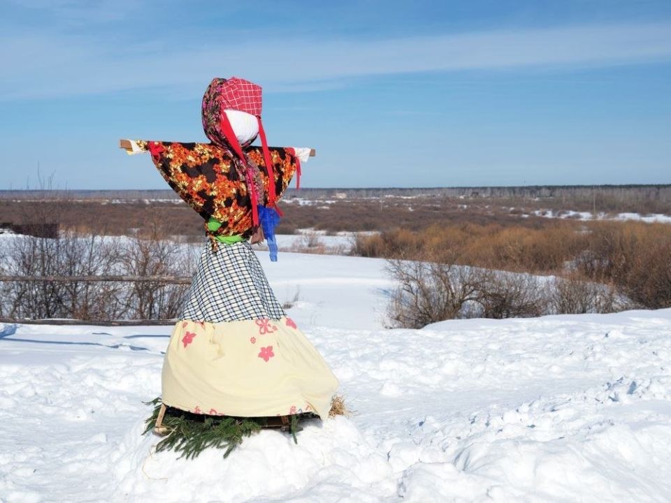 ������������ ���� ������ ����� � ��������� �� Ozon