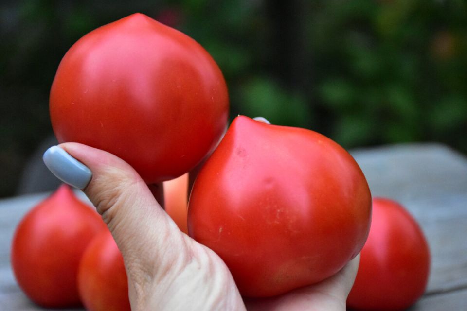 ������, ������� ������� ��� ������: ������ ����� ��������� ������