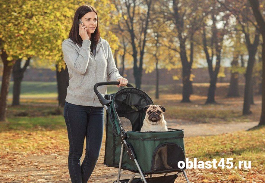 ������ ������ ������: � ������ ������ ���� �� �������� � ����� � ��������