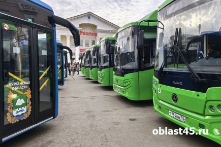 В Кургане автобусные перевозчики вернули в бюджет 3,4 млн рублей после аудита