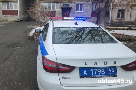 Скрытый надзор и охота на должников: как ГАИ ловит нарушителей в Курганской области