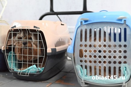 � �������� ����� ������ ������: �� ����� �� ������� � ������������ ������ ���������� � ������