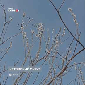 Доброе утро, зауральцы!. Сегодня в Кургане обещают облачную с прояснениями погоду