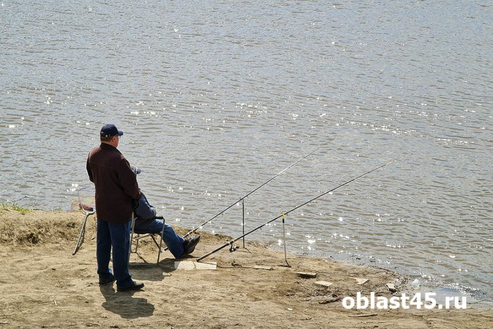 � ������ ���������� ������� ������� ���� � ������ ����, ��� � ��� �� ���� � 2024 ����