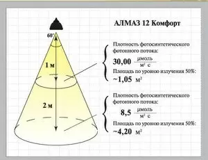 Как фитолампы меняют мир комнатных растений: секреты успешного роста и цветения