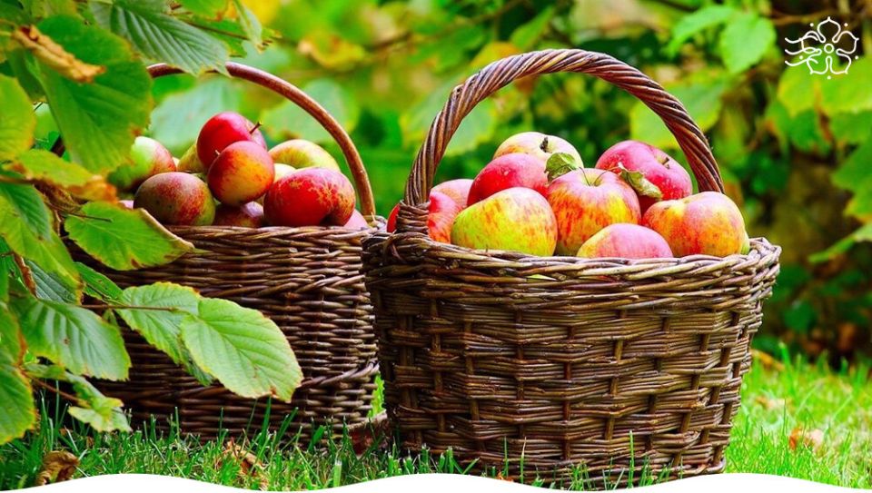 ��� ��������� �������� ������: �������� � ������ ���������