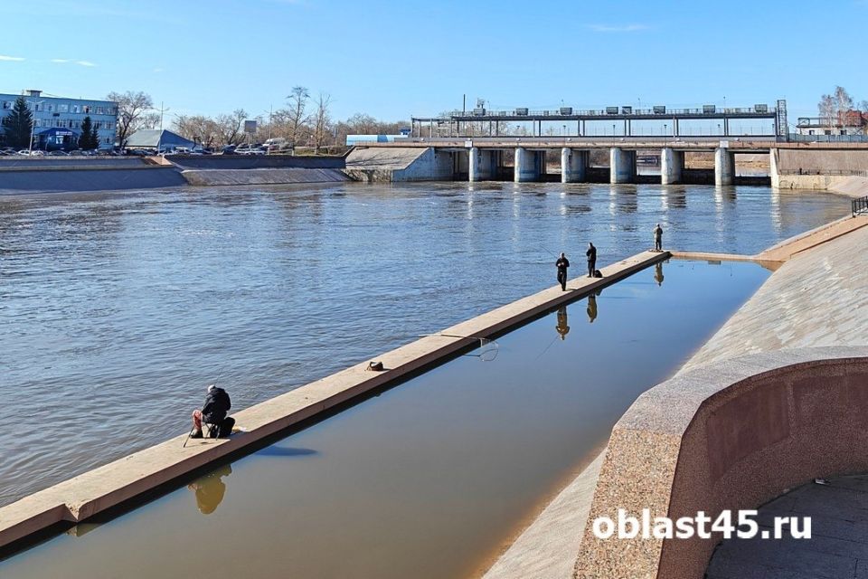 ����� � ���������� ������� �� ����� �������� �� 18 �����������