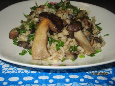 ���� � �������: ������ ������ ����� ��� ������