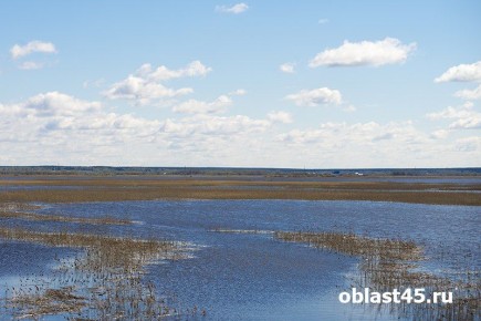 В Курганской области уровень воды в реке Миасс подходит к неблагоприятной отметке