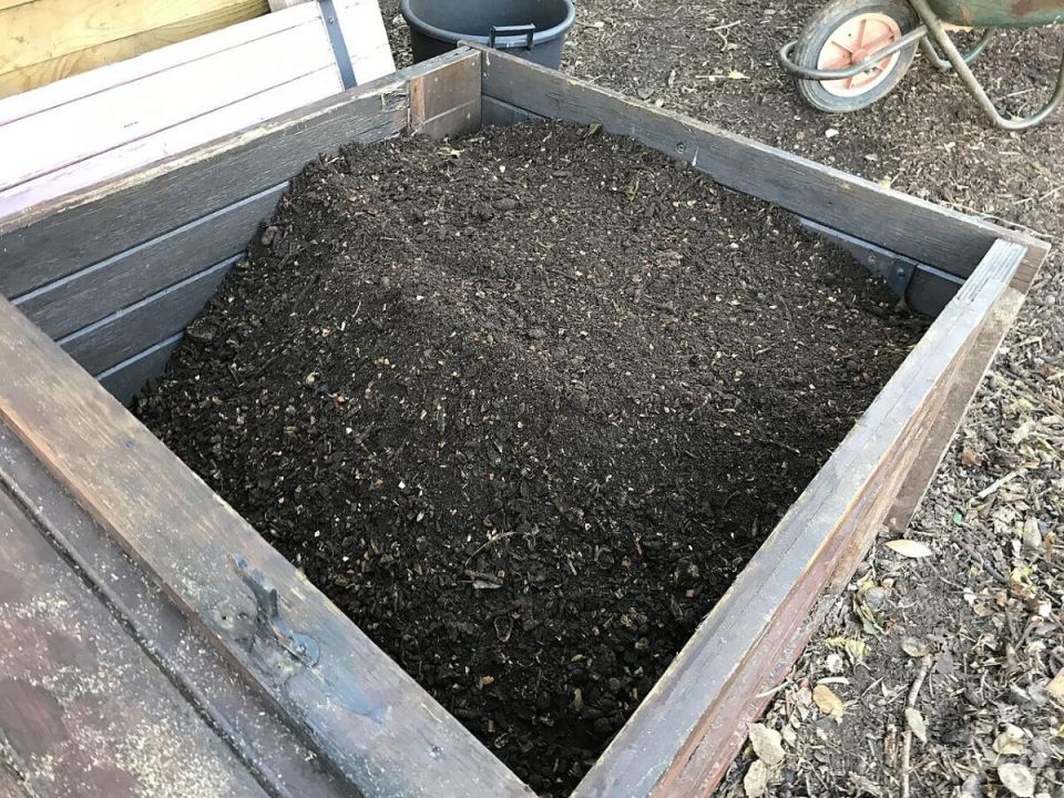 ������� ��� ������ ������: ���������� ���� ��������