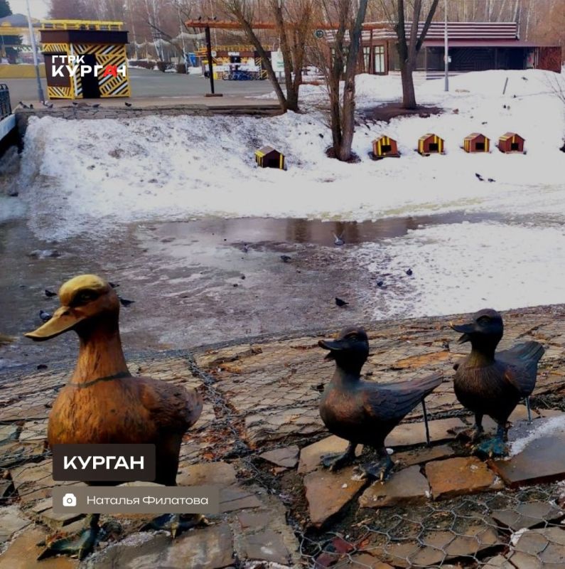 ������ ����, ���������!. ��������� ������� � ������� ����� ������