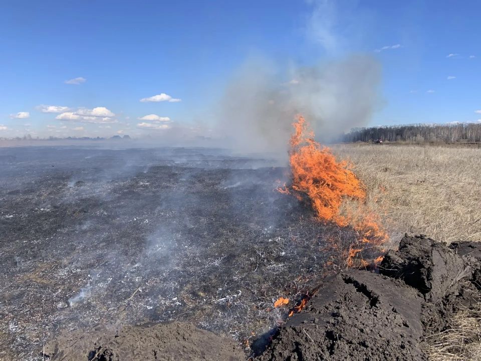 ������ ����� ����� ������������� ������� �������� � �������