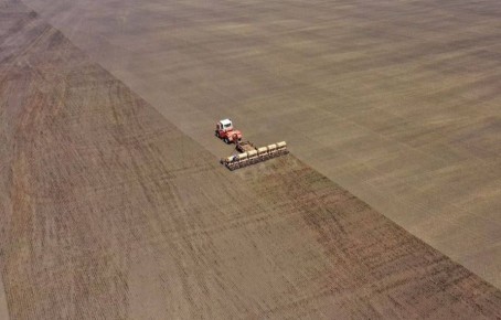 Губернатор Вадим Шумков поставил задачи по завершению подготовки к посевной кампании