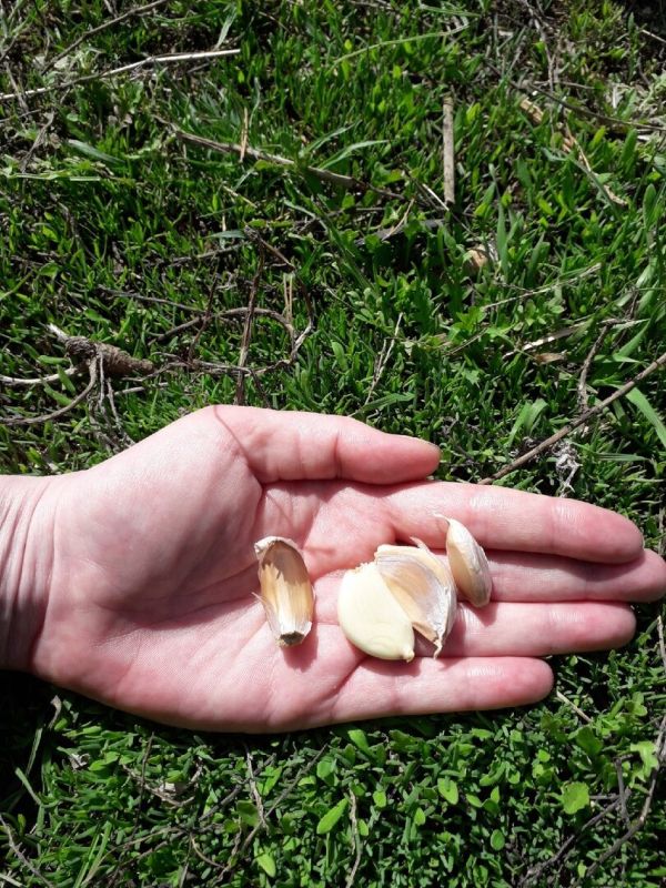 ��� ������� � ����� ������, ������� �������� ��� ������ �������?