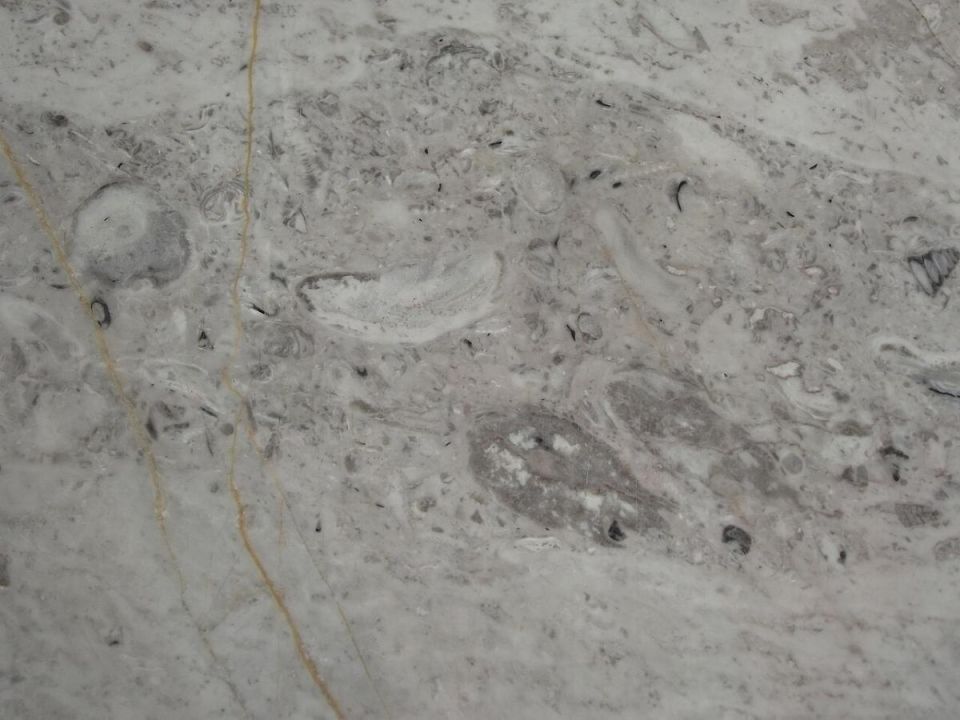 ��� ���������� ��������� �����: ������ �� �����