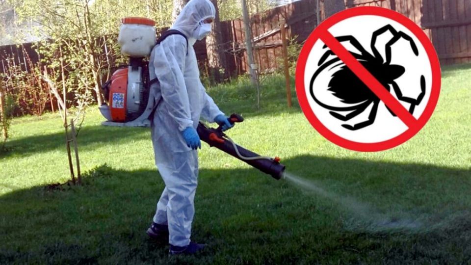 ��������� ����: ��� �������� ������ � ������� ������� �������� ����