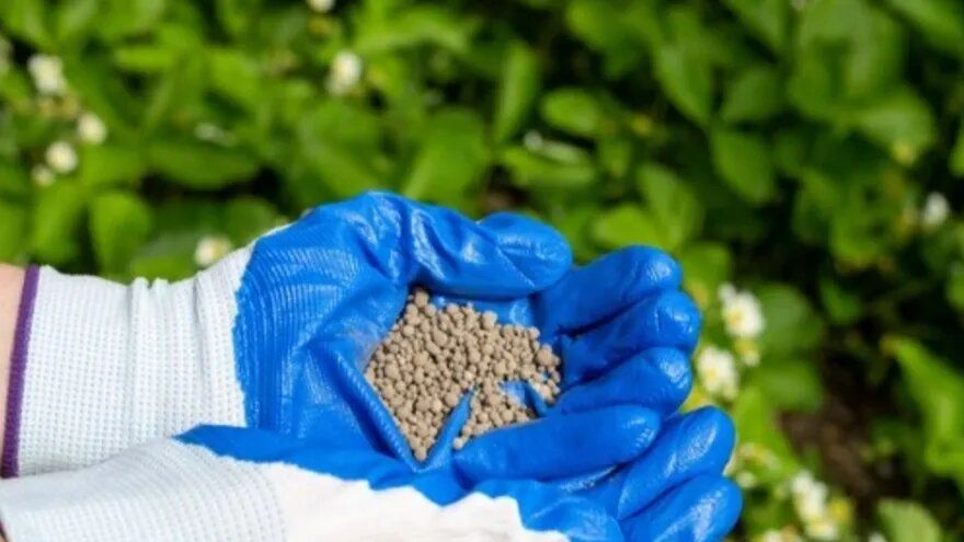 ������ � ��������� ��������: ��� ����� ����� ��� ������� ������