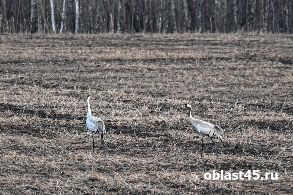 �� ����� � ����� � ���������� ������� ��������� ����� �������