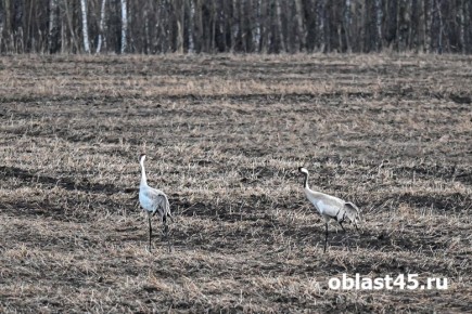 �� ����� � ����� � ���������� ������� ��������� ����� �������