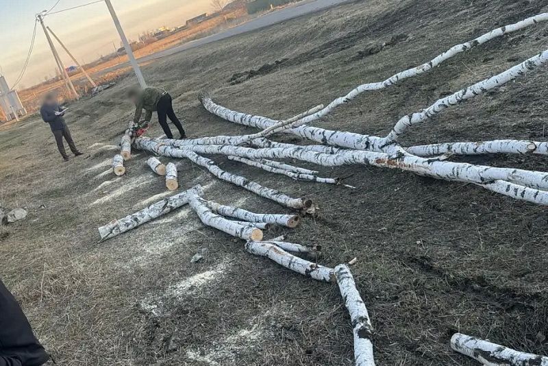 � ������������� ������ ������������ ������� �������� ������������� � ���������� ����� ������ ����������