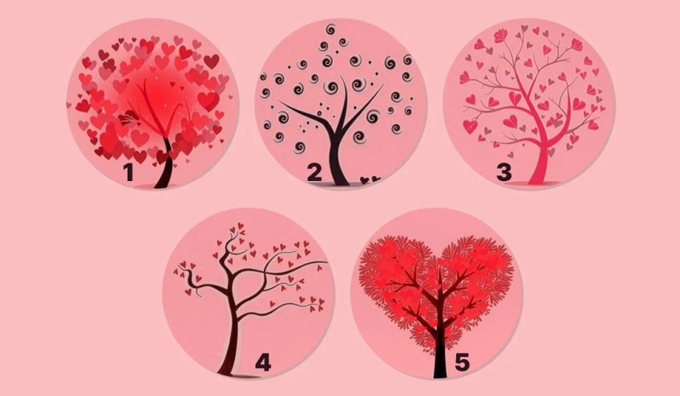 ���� �� �������: �������� ��� ������