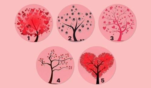 ���� �� �������: �������� ��� ������