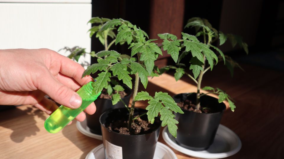 ��� ���������� ���������� ������� � ������