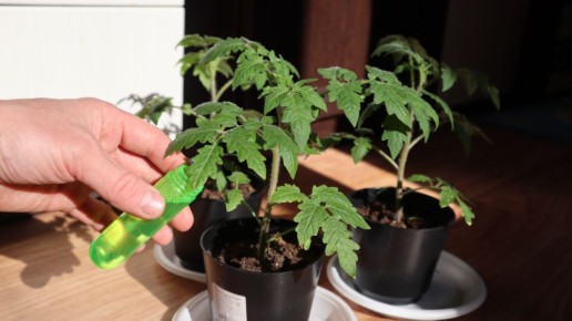 ��� ���������� ���������� ������� � ������