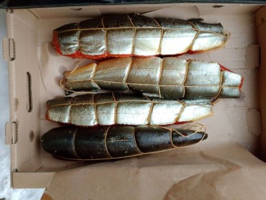 ��������������� ���� ������ ��������� �������� �� ��������� ����