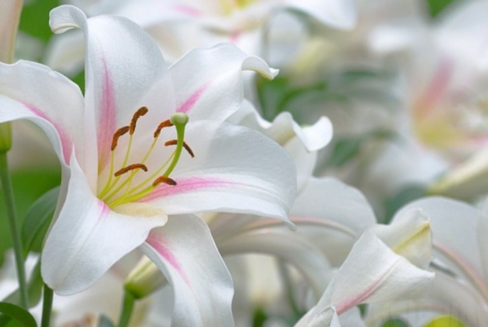 ��� ��������� ����� � �����������: ������� ��������� �����