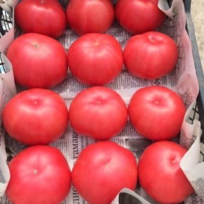 ����� ��� ����: ������� ��������� ����������� �������� � ����� ����