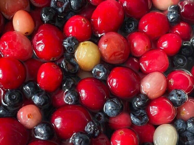 ����������� �����: ��������� ���������� ���������� ����������